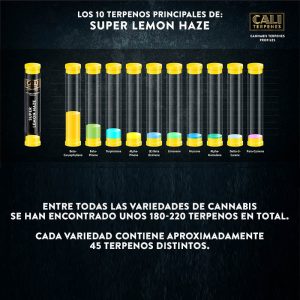 Alternative view of Terpenos Super lemon haze 10ml