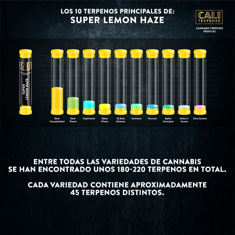 Terpenos Super lemon haze 10ml - Imagen 2